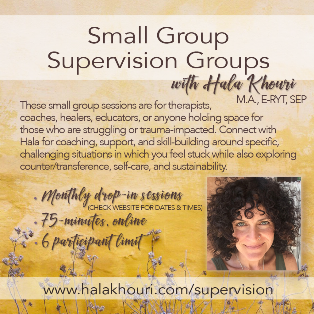 Small Group Supervision Groups
